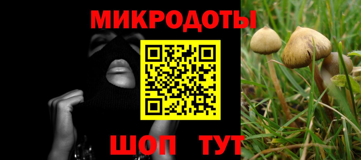 Псилоцибиновые грибы MAGIC MUSHROOMS  Вход с VPN  Бирск 